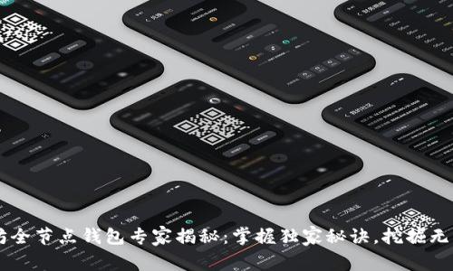 以太坊全节点钱包专家揭秘：掌握独家秘诀，挖掘无限潜力