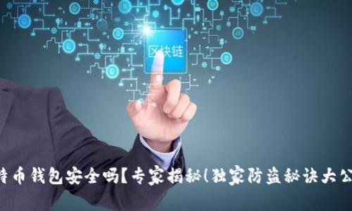 比特币钱包安全吗？专家揭秘！独家防盗秘诀大公开！