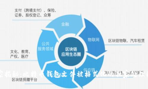 专家揭秘：比特币钱包文件被格式化的独家处理秘诀