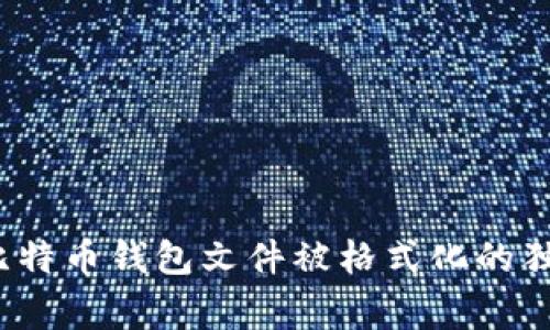 专家揭秘：比特币钱包文件被格式化的独家处理秘诀