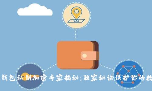 以太坊钱包私钥加密专家揭秘：独家秘诀保护你的数字资产
