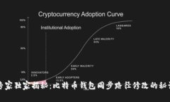 专家独家揭秘：比特币钱