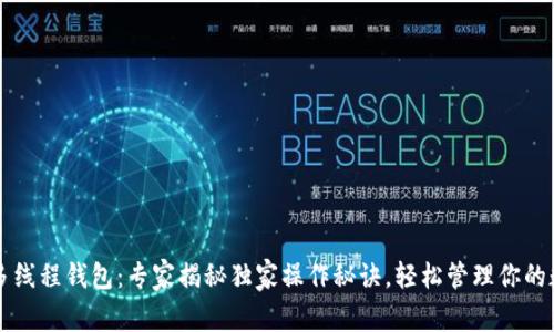 区块链多线程钱包：专家揭秘独家操作秘诀，轻松管理你的数字资产