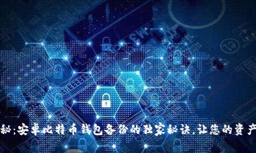 专家揭秘：安卓比特币钱包备份的独家秘诀，让您的资产更安全