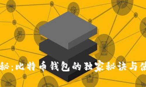 专家揭秘：比特币钱包的独家秘诀与使用指南