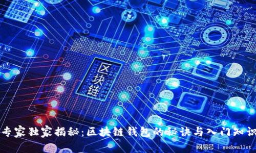 专家独家揭秘：区块链钱包的秘诀与入门知识
