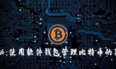 专家揭秘：使用软件钱包