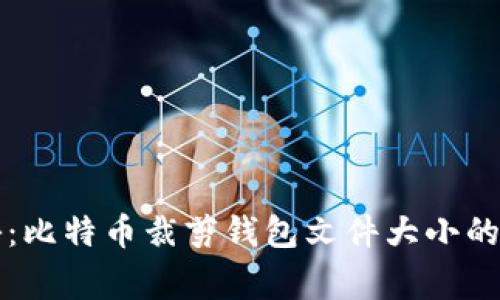 专家揭秘：比特币裁剪钱包文件大小的独家秘诀