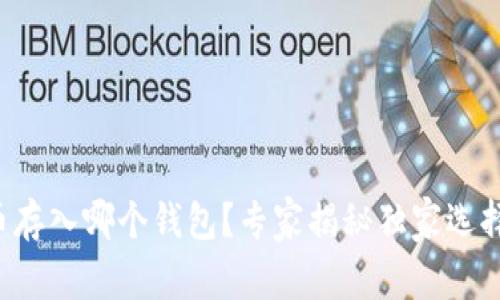 比特币存入哪个钱包？专家揭秘独家选择秘诀！