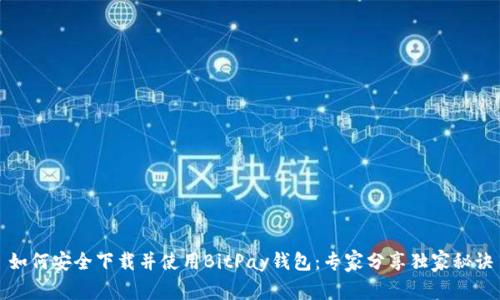 如何安全下载并使用BitPay钱包：专家分享独家秘诀