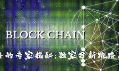 比特币钱包跑路的专家揭