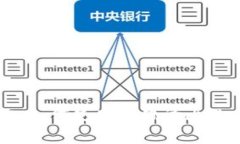专家独家揭秘：如何使用