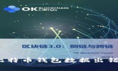 专家揭秘：比特币钱包数