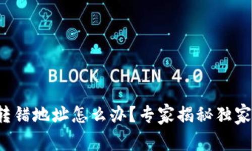 : TP钱包转错地址怎么办？专家揭秘独家处理秘诀！