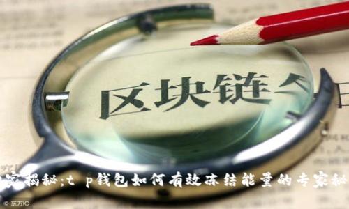 独家揭秘：t p钱包如何有效冻结能量的专家秘诀