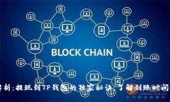 专家解析：提现到TP钱包的