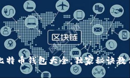 专家揭秘：比特币钱包大全，独家秘诀教你安全存储!