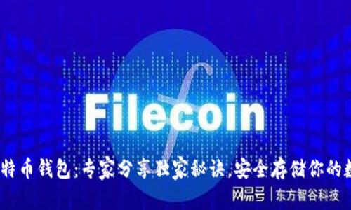 12年比特币钱包：专家分享独家秘诀，安全存储你的数字资产