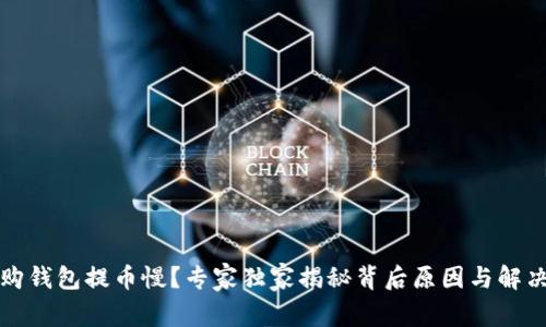 比特购钱包提币慢？专家独家揭秘背后原因与解决秘诀