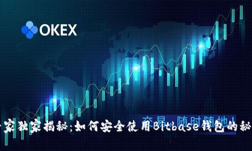 专家独家揭秘：如何安全使用Bitbase钱包的秘诀