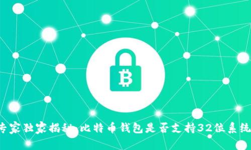 专家独家揭秘：比特币钱包是否支持32位系统？