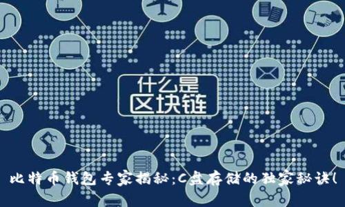 比特币钱包专家揭秘：C盘存储的独家秘诀！