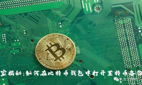 专家独家揭秘：如何在比特币钱包中打开莱特币备份的秘诀