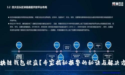 区块链钱包被盗？专家揭秘报警的秘诀与解决方案