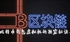 专家分享：比特币钱包虚