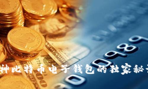 专家揭秘：库神比特币电子钱包的独家秘诀与使用技巧