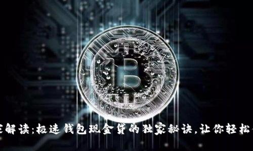 专家解读：极速钱包现金贷的独家秘诀，让你轻松借款