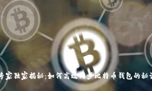 专家独家揭秘：如何高效同步比特币钱包的秘诀
