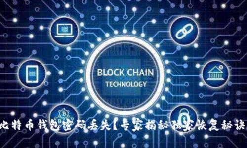 比特币钱包密码丢失？专家揭秘独家恢复秘诀！