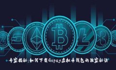专家揭秘：如何下载Gopa