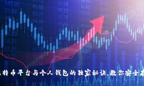 专家揭秘：比特币平台与个人钱包的独家秘诀，教你安全存储数字资产
