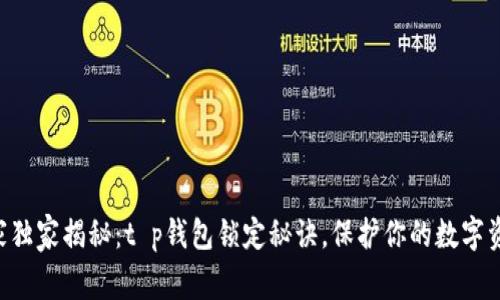 专家独家揭秘：t p钱包锁定秘诀，保护你的数字资产！