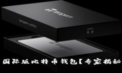 如何下载国际版比特币钱