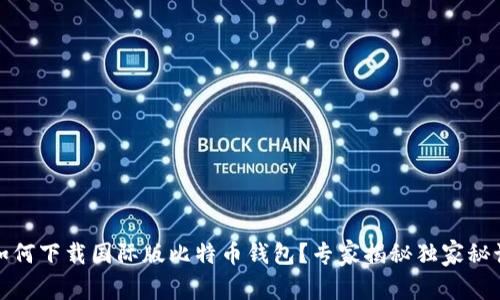 如何下载国际版比特币钱包？专家揭秘独家秘诀