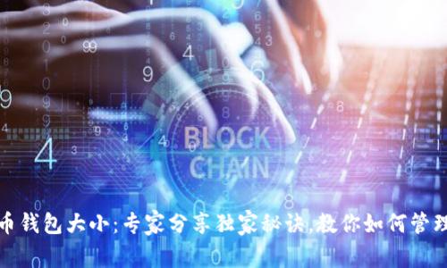 揭秘比特币钱包大小：专家分享独家秘诀，教你如何管理存储空间
