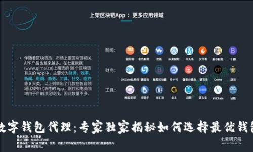 区块链数字钱包代理：专家独家揭秘如何选择最优钱包的秘诀