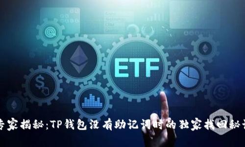 专家揭秘：TP钱包没有助记词时的独家找回秘诀