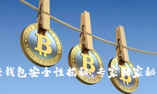 比特币轻钱包安全性揭秘：专家独家秘诀大公开