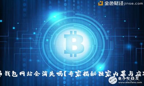 比特币钱包网站会消失吗？专家揭秘独家内幕与应对秘诀