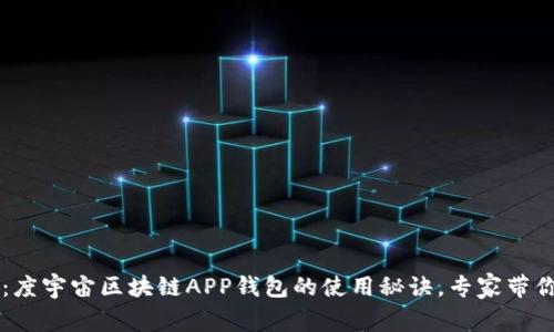 独家揭秘：度宇宙区块链APP钱包的使用秘诀，专家带你轻松上手