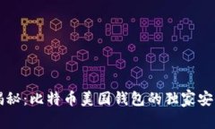 专家揭秘：比特币美国钱