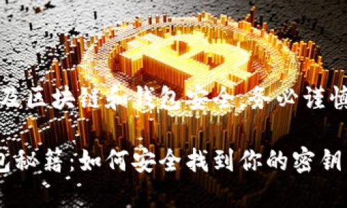 请注意：操作涉及区块链和钱包安全，务必谨慎处理密钥信息。

以太坊节点钱包秘籍：如何安全找到你的密钥