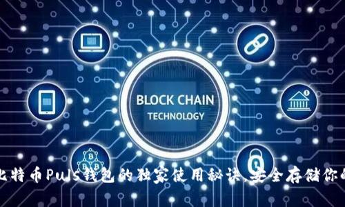 专家揭露：比特币Puls钱包的独家使用秘诀，安全存储你的数字资产！