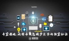 专家揭晓：比特币钱包同