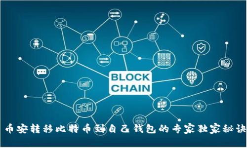 币安转移比特币到自己钱包的专家独家秘诀