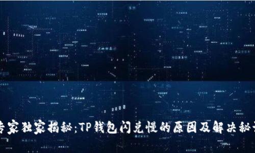 专家独家揭秘：TP钱包闪兑慢的原因及解决秘诀